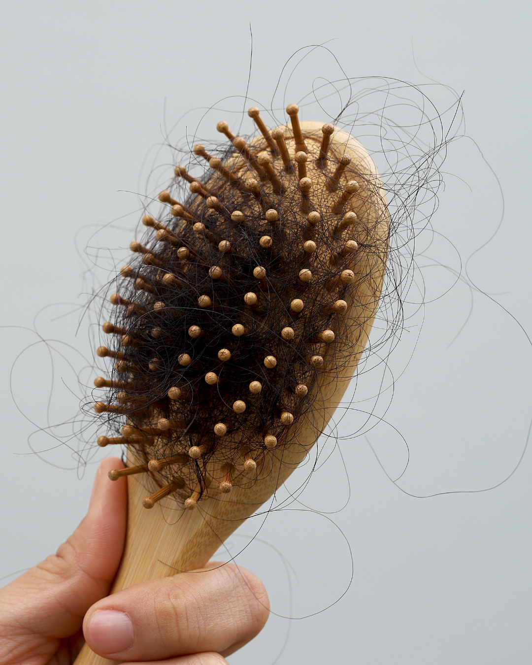 spazzola piena di capelli