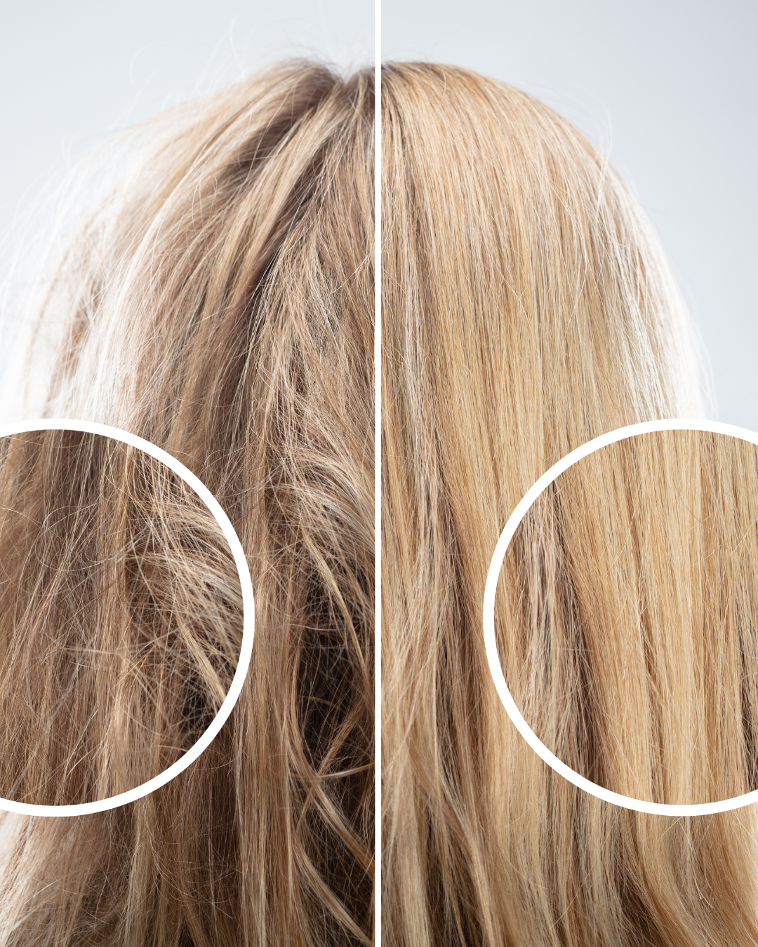 capelli biondi sia rovinati sia normali